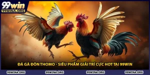 Đá Gà Đòn Thomo