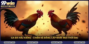 Gà Đá Hầu Kiềng