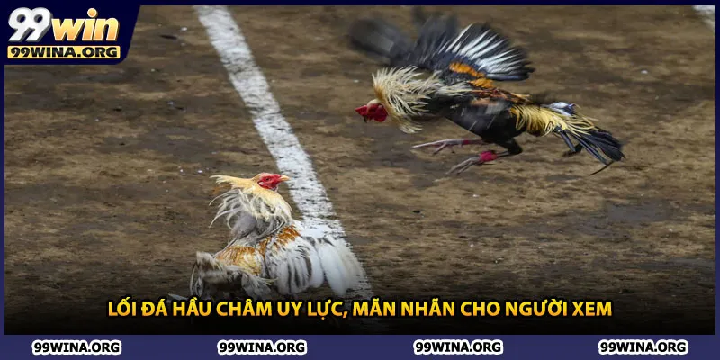 Lối đá hầu châm uy lực, mãn nhãn cho người xem