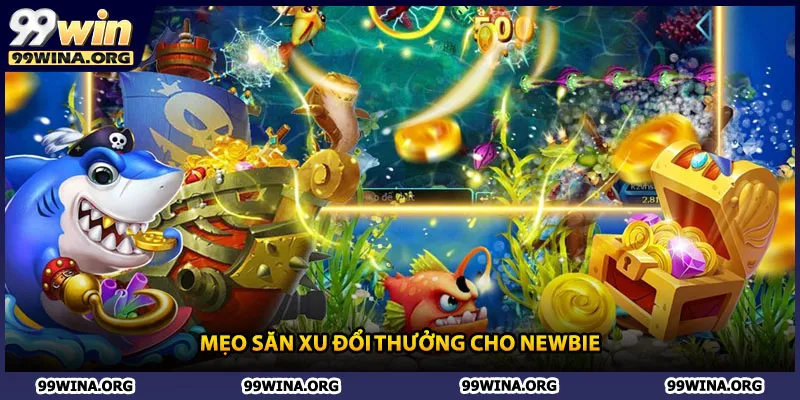 Mẹo săn xu đổi thưởng cho newbie