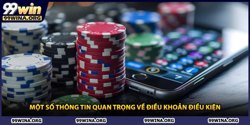 Một số điều khoản điều kiện về xử phạt người dùng